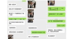 上海今日爆料,揭秘城市热点事件背后的真相