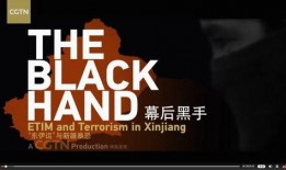 美国爆料摩迪骗局视频大全,摩迪骗局视频大全深度解析